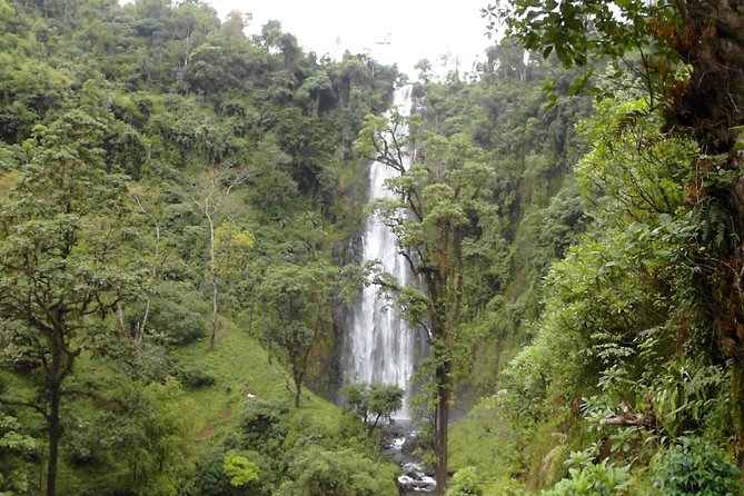 Materuni Waterfalls & Coffee Tour From Moshi - Coffee Plantation Visit