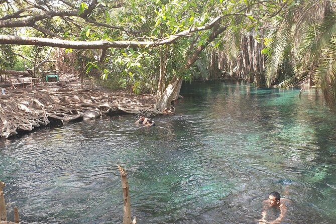 Materuni Waterfalls,Coffee and Chemka Hotspring Tour - Explore Materuni Waterfalls