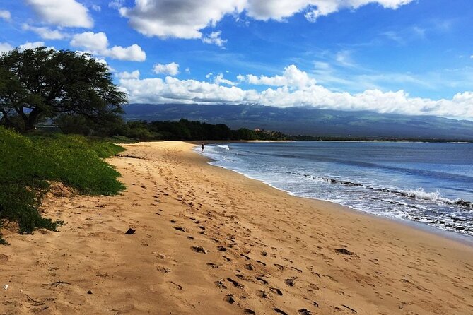 Maui Island Private Day Tour - Pricing and Booking Information