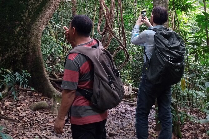 Medan - Bukit Lawang Fullday Tour - Wildlife Spotting