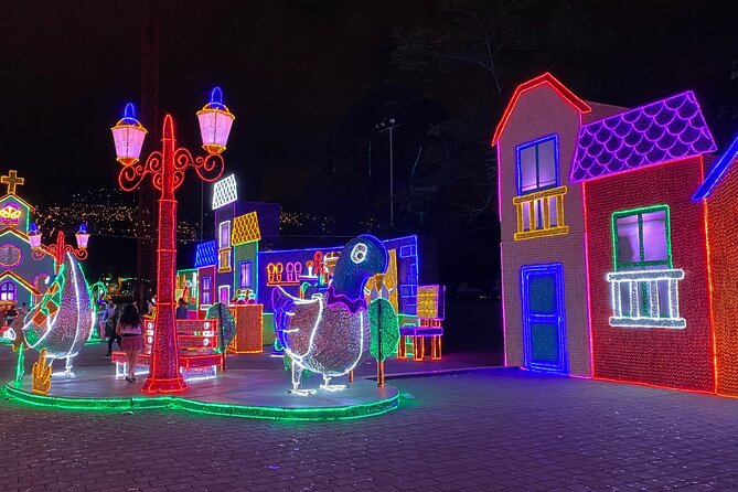 Medellin Christmas Lighting Private Tour - Pricing and Inclusions