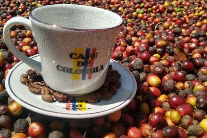 Medellin: Coffee Tour and Paisa Experience - Inclusions and Exclusions