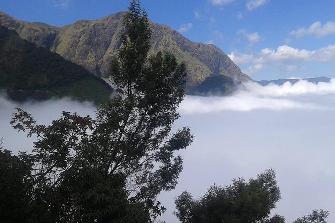 Meesapulimala Sunrise Trek( by Munnar Info) - Physical Requirements