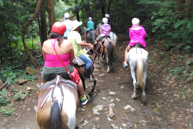 Mega Adventure Tour (Private Transportation) - Transportation and Amenities