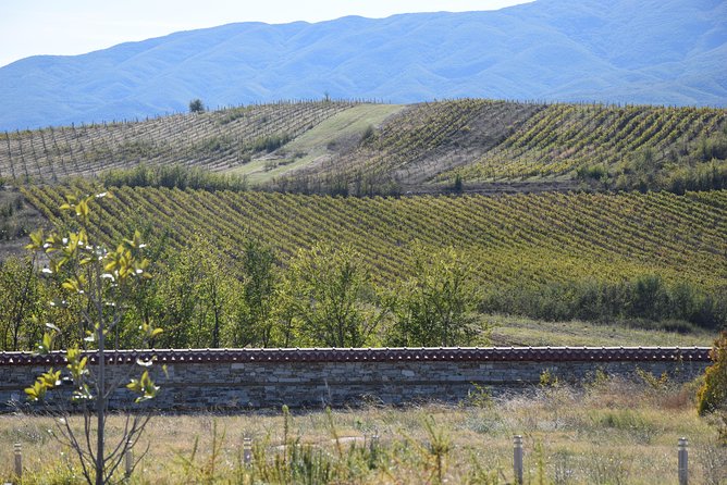 Melnik Wine Tasting Tour From Sofia - Cancellation Policy Details