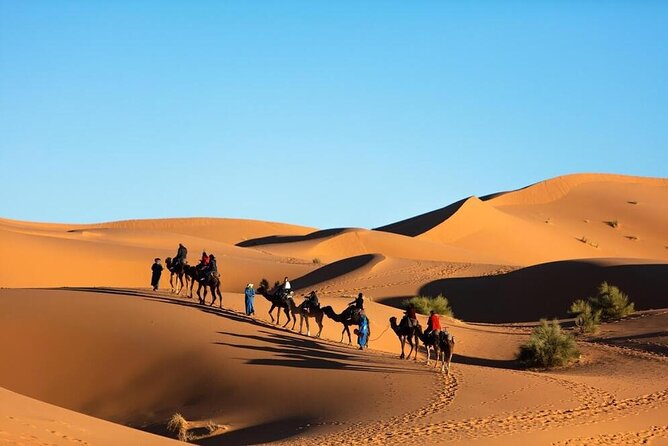 Merzouga Camel Ride & Overnight Desert Camps - Meeting and Pickup Information