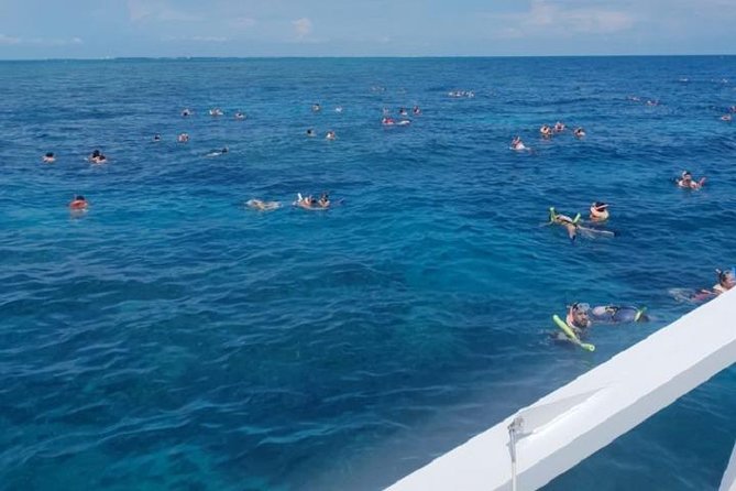 Miami to Key West Day Trip Transportation - Reservation Process