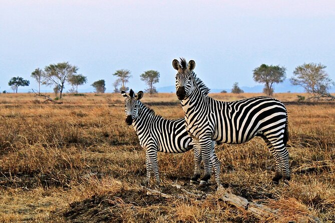 Mikumi National Park & Udzungwa Water Falls 3 Days Group Tour - Full Day in Udzungwa