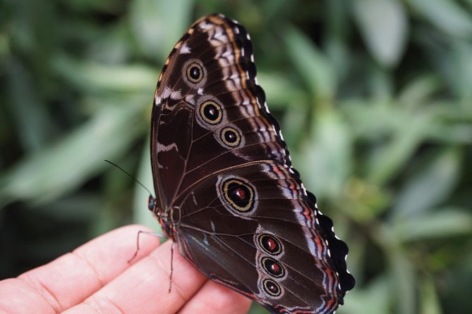 Mindo Cloud Forest PRIVATE Day Trip - Booking Confirmation and Cancellation