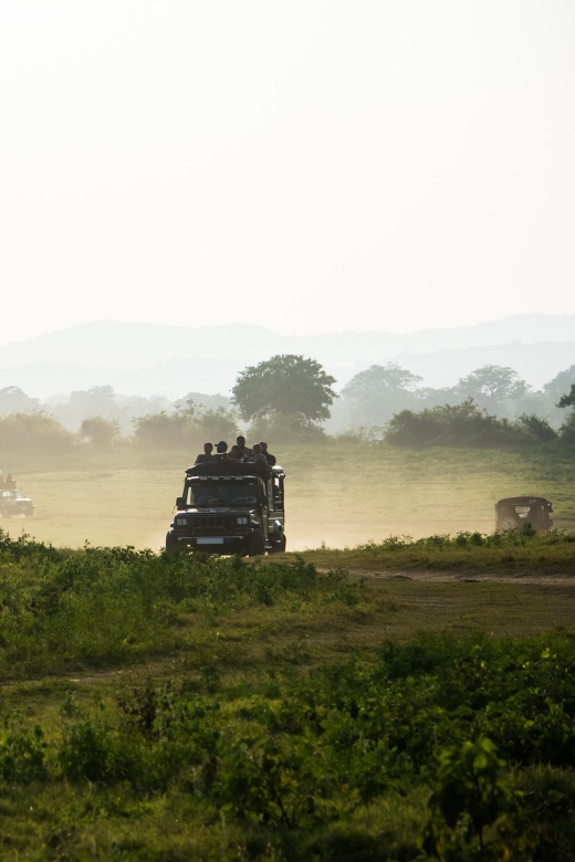 Minneriya National Park Safari by a 4x4 - Wildlife Experience