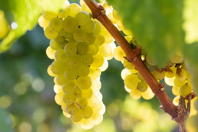 Minoan Crete: Knossos Palace, Winery Visit and Lunch at Archanes - Archanes Lunch Experience