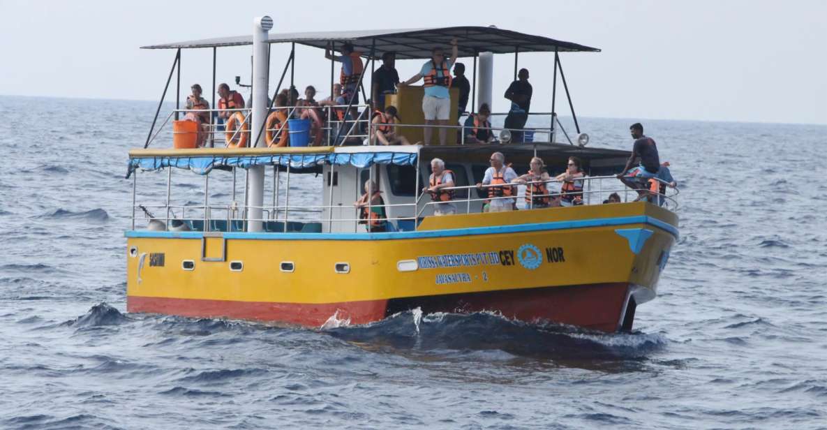 Mirissa Whale Watching Experience With Seafood Lunch - Whale Watching Highlights