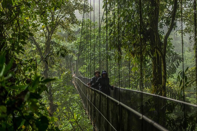 Mistico Hanging Bridges Admission Ticket - Admission Ticket Details