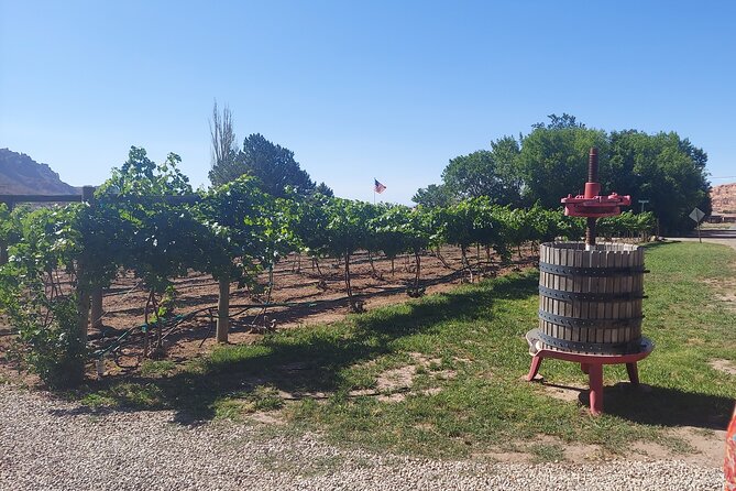 Moab Back Roads, History and Winery E-Bike Tour - Health and Accessibility Considerations