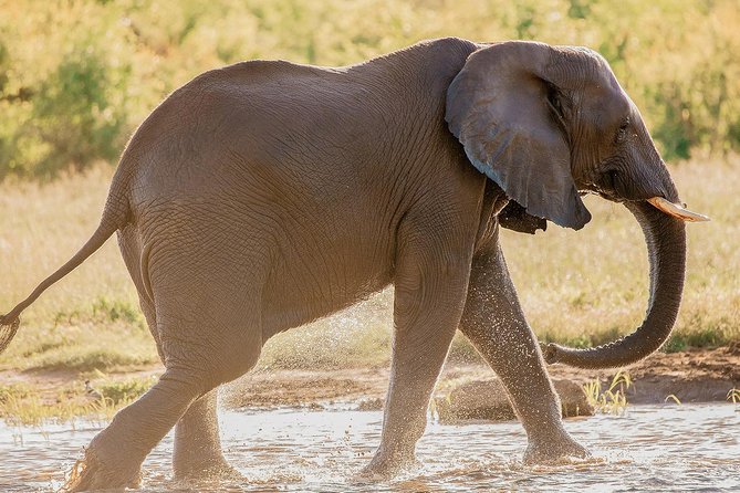 Moments With Elephants - Meeting Locations