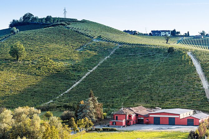 Monferrato (Asti): Wine Tour With Light Lunch Picnic in the Vineyards - Accessibility and Participation