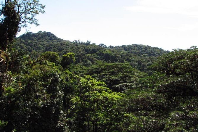 Monteverde Cloud Forest Hanging Bridges - Participant Information