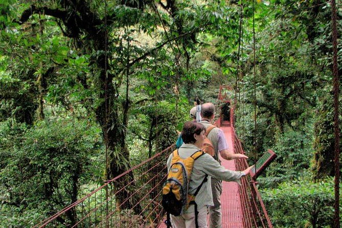 Monteverde Cloud Forest Reserve Guided Walk - Accessibility and Participation