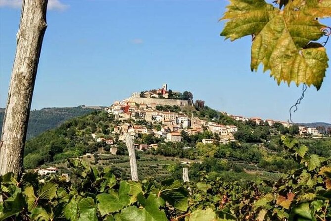 Motovun - Amazing Views & Tasty Truffles (From Rovinj) - Accessibility and Transportation