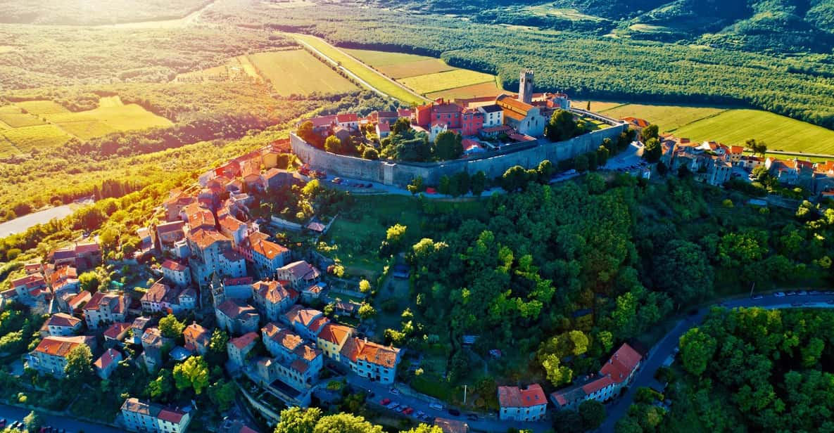 Motovun: the Trail of Giants Hiking Tour & Fritule Tasting - Tour Highlights