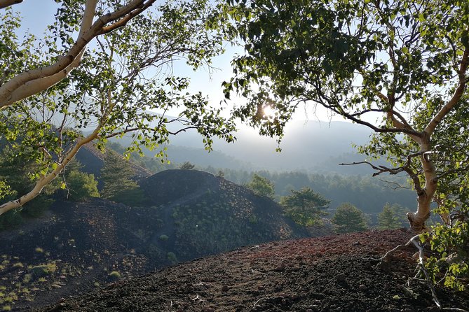 Mount Etna Tour at Sunset - Small Groups From Taormina - Positive Review Highlights
