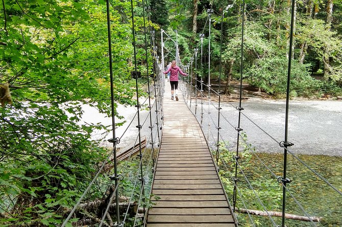 Mount Rainier National Park - Private Luxury Day Tour With Lunch - Schedule Details