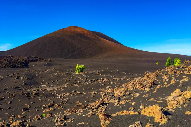 Mount Teide and Teno Country Park Private Tour - Customer Experiences