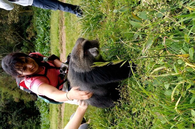 Mountain Kilimanjaro Day Hike - Inclusions and Exclusions