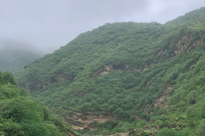 Mountain Safari Private Tour - Inclusions and Amenities