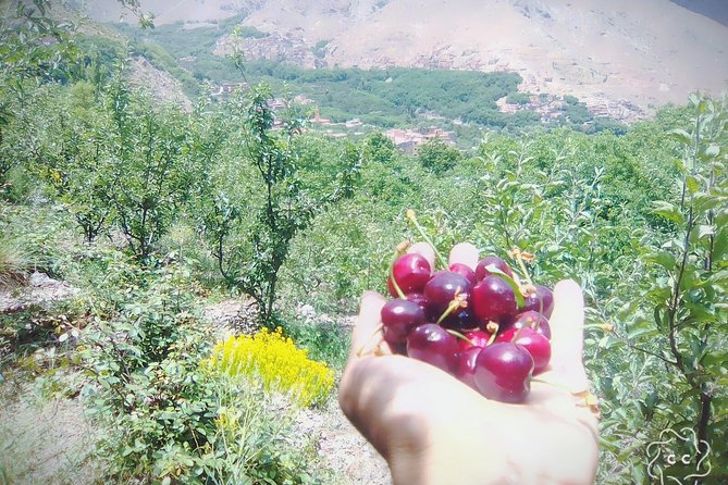 Mountains and Agafay Desert & 3 Valley & Berber Villages With Camel Rid - Discovering Berber Villages