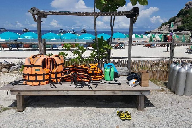 Mr. Tu Snorkel Day Trip to Koh Nangyuan & Koh Tao by Speed Boat From Koh Samui - Participant Guidelines