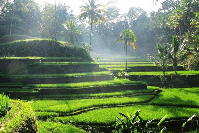 Mt. Batur Sunrise Jeep Tour-Water Temple-Riceterrace& Waterfall - Itinerary Details