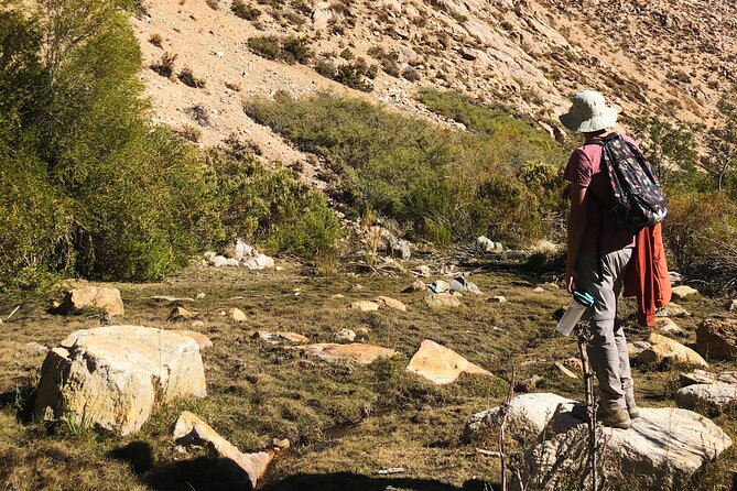 Multi-Adventure Cochiguaz - Highlights of the Experience