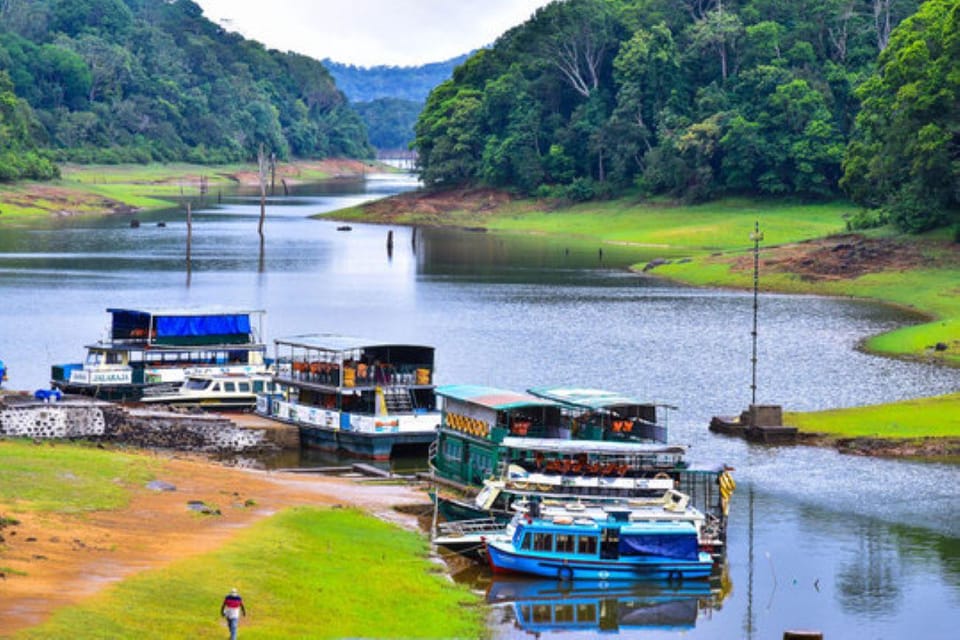 Munnar Hill Station With Periyar Wildlife Tour (03 Days) - Included in the Tour