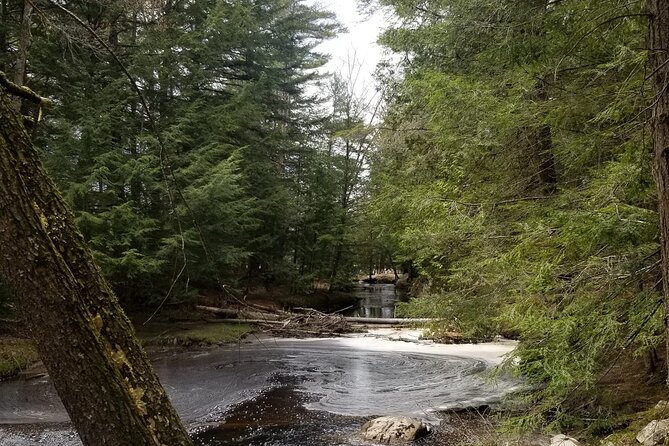 Muskoka Brews With the Views - Highlights of the Tour