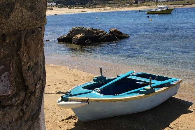 Mykonos Safari Island Tour - According To The Locals - Traveler Photos