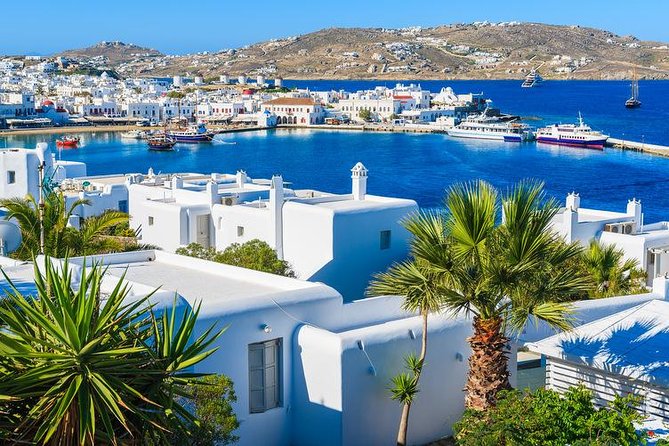 Mykonos Town and Island Half-Day Tour - Inclusions and Additional Information