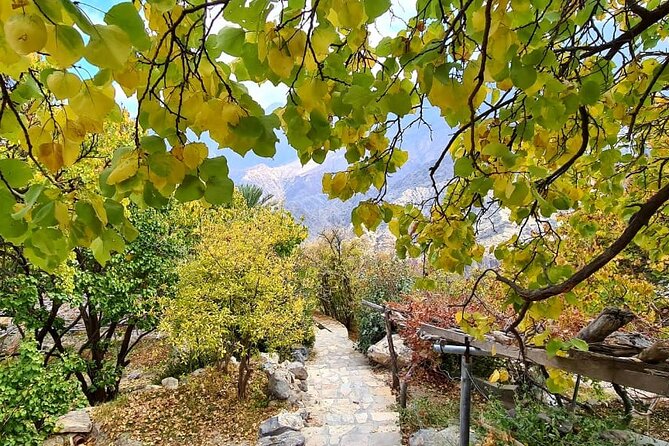 Nakhal Hotspring and Wakan Village Private Full Day Tour - Omani Culture and Traditions