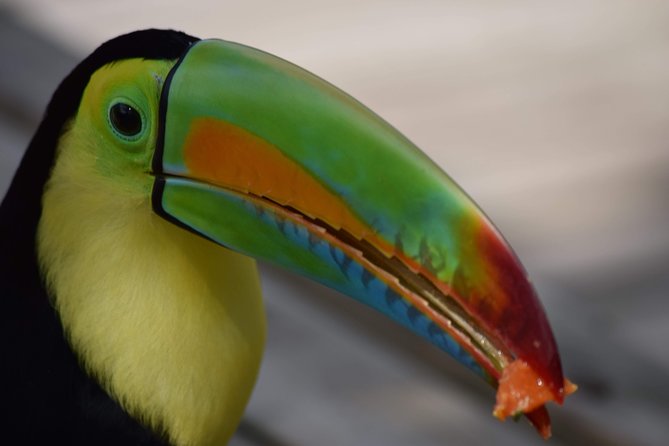 National Aviary - Nature Conservation and Sustainability