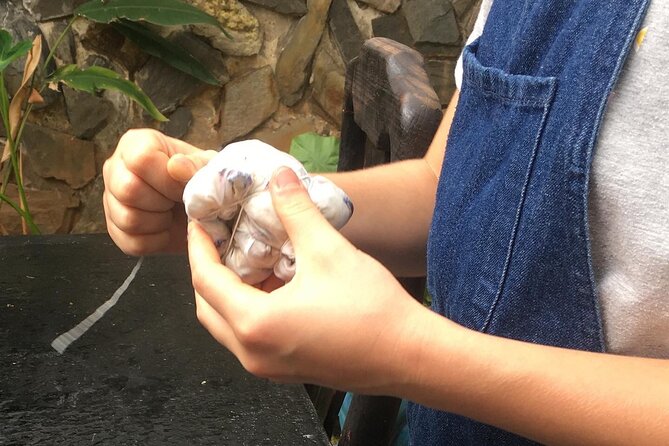 Natural Bundle Dyeing With Silk Scarf Workshop - Learning Experience