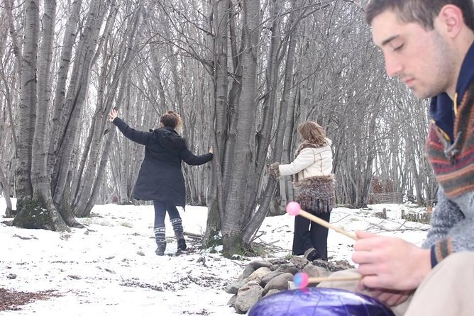 Naturaldanza Dance in Nature - Reviews and Feedback