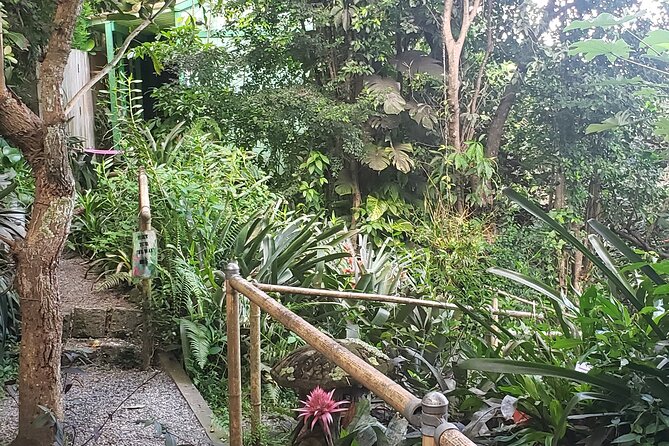 Nature and Sightseeing Tour at Phantasea Tropical Botanical Garden - Tour Accessibility and Requirements