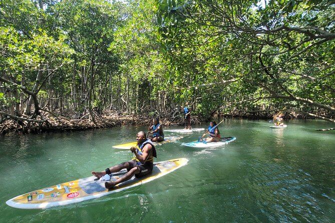 Nature Stand Up Paddle Boarding Experience in Miami - Participant Feedback and Ratings