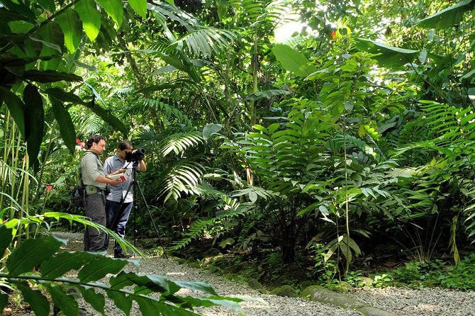 Nature Walk at Ecological Park and Butterfly Garden Danaus - Eco-friendly Exploration