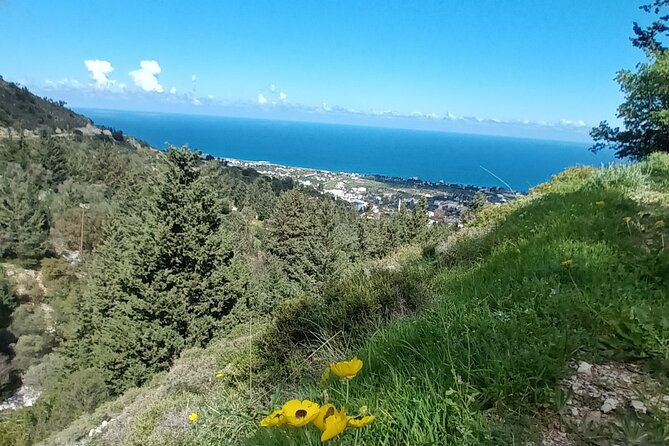 Nature Walking Tour in the Mediterranean Cyprus-8days - Inquiries and Assistance