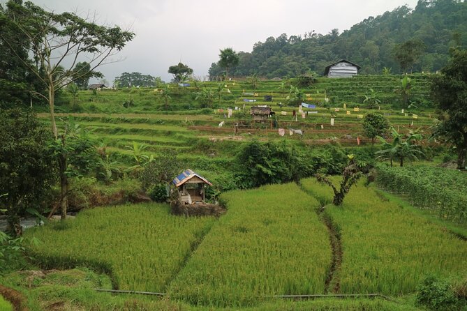 Natures Healing Bandung Country Side - Pickup and Drop-off Options