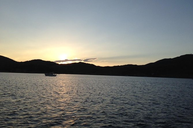 Nausicaa. Discover Collioure and the Côte Vermeille From the Sea. - What to Expect During the Tour