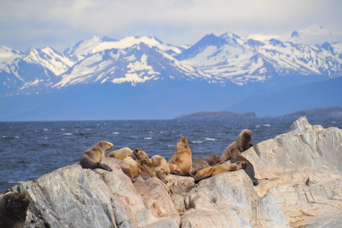 Navigation in the Beagle Channel With Minitrekking USHUAIA - Discovering the Ushuaia Landscape