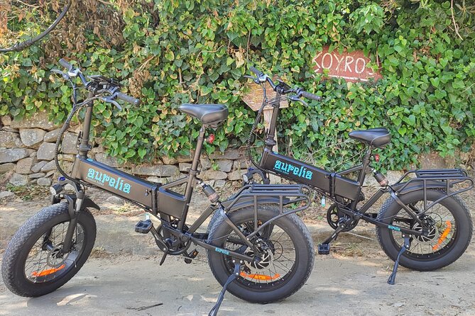 Naxos Private / Semi Private E-Bike Guided Tour Aegean Lush - Participation Requirements