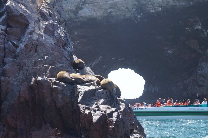 Nazca Lines and Ballestas Islands Full Day - Nazca Lines Aerial Tour